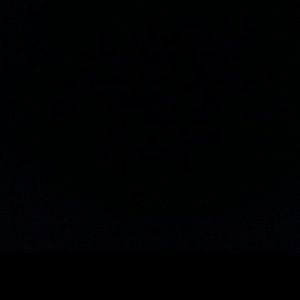 Meet your Posher, Wayne