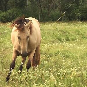 Meet your Posher, Laurie