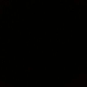 Meet your Posher, Lindsay