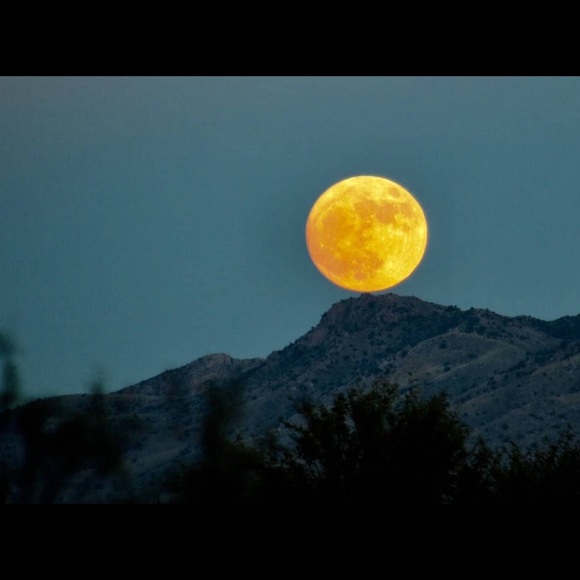 Meet your Posher, Paula - Picture 1 of 1