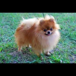 Meet your Posher, Eric