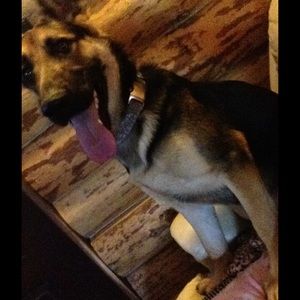 Meet your Posher, Jess