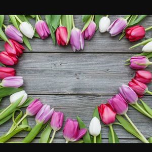 Meet your Posher, Davonna