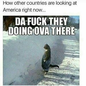 Meet your Posher, Kkt