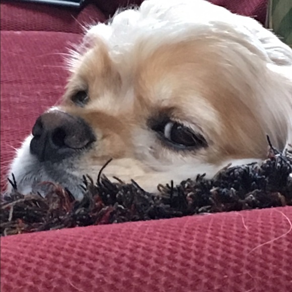 Meet your Posher, Julie - Picture 1 of 1