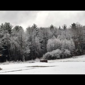 Meet your Posher, Dawn