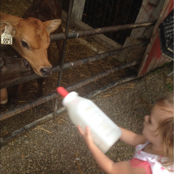 Meet your Posher, Karen - Picture 2 of 2