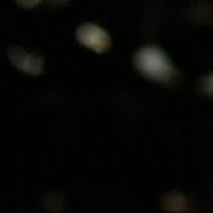 Meet your Posher, Trinity