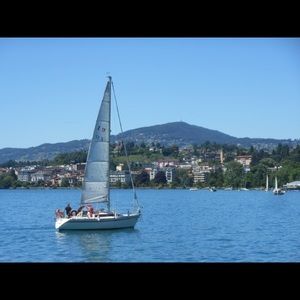 Meet your Posher, Colin