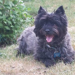 Meet your Posher, Stacy