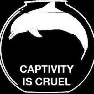 Meet your Posher, Nina