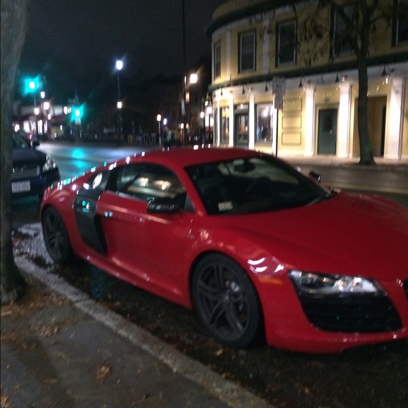 Meet your Posher, Riley - Picture 1 of 1