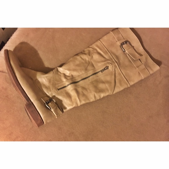 Steve madden knee high boots
