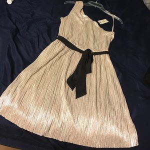 Express silk material dress