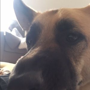 Meet your Posher, Anna