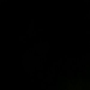 Meet your Posher, Vasa