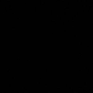 Meet your Posher, Frank