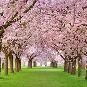 Meet your Posher, Walter