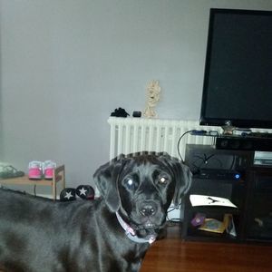 Meet your Posher, Scott