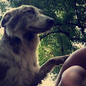 Meet your Posher, Frances