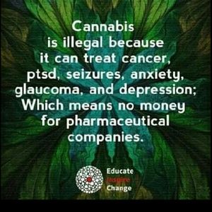 Meet your Posher, Tommy