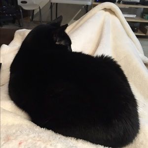 Meet your Posher, Michele