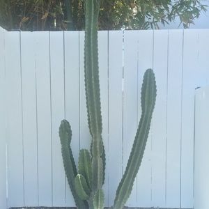 Meet your Posher, Chante'