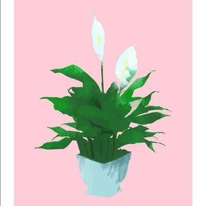 Meet your Posher, Selene