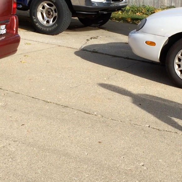 Meet your Posher, Colby - Picture 1 of 1