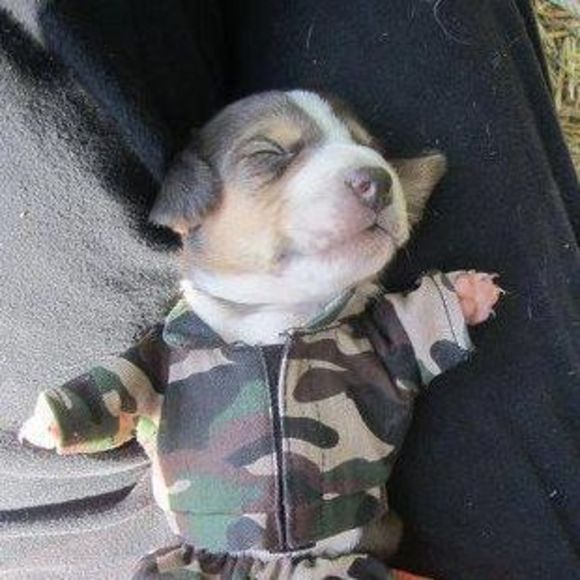 Meet your Posher, Banu