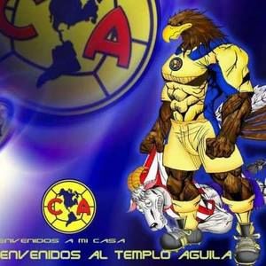 Meet your Posher, Andres