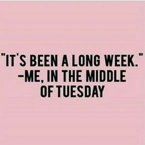 Meet your Posher, Kenny