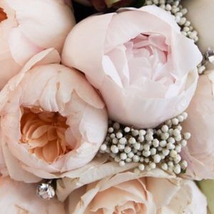 Meet your Posher, Zina