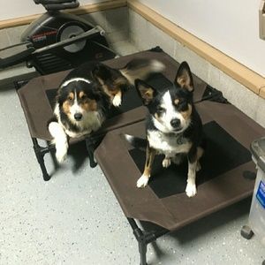 Meet your Posher, Allison