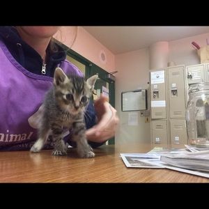 Meet your Posher, Genevieve