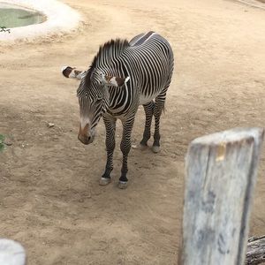 Meet your Posher, Dan