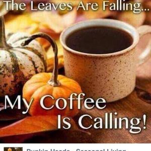 Meet your Posher, Jeanine