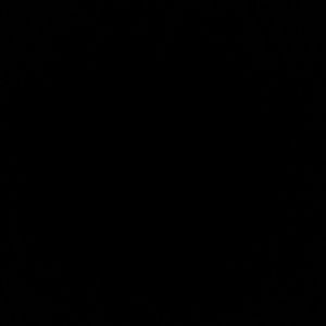 Meet your Posher, Lesley