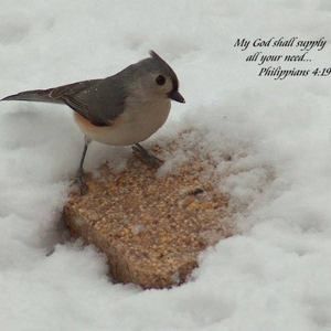 Meet your Posher, Nancy