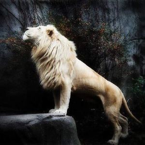 Meet your Posher, Lc