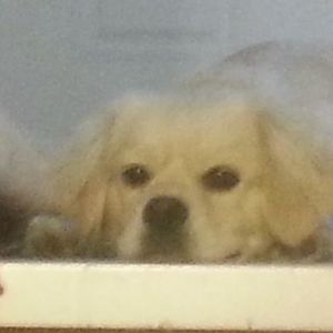 Meet your Posher, Beth