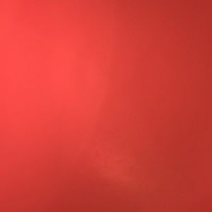 Meet your Posher, Traci