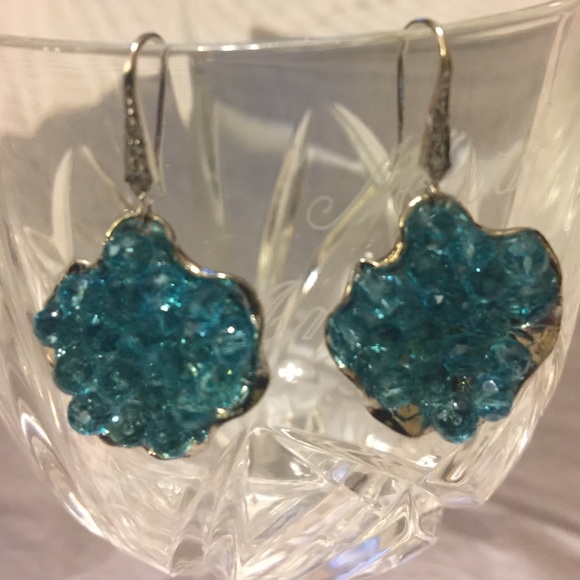 Beautiful pair of Earrings