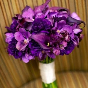 Meet your Posher, Glendora