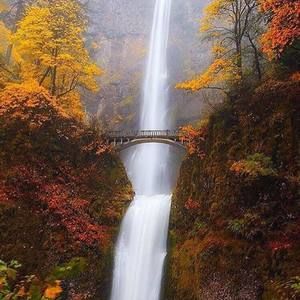 Meet your Posher, Darla