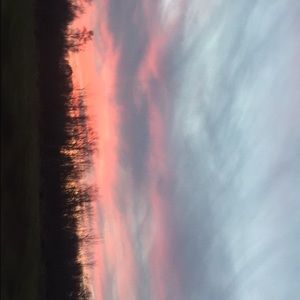 Meet your Posher, Skylar