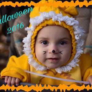 Meet your Posher, Sheila