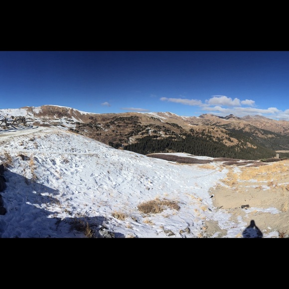 Meet your Posher, Sam - Picture 1 of 1