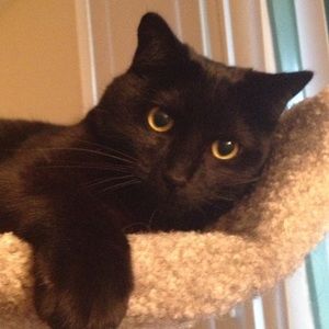 Meet your Posher, Charlotte