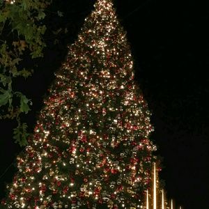 Meet your Posher, Hallie